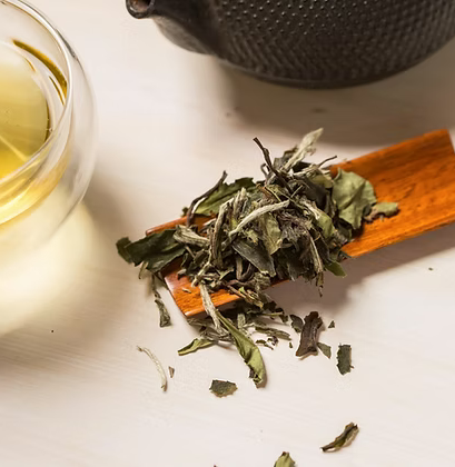 No. 50 White Peony Tea (Organic)